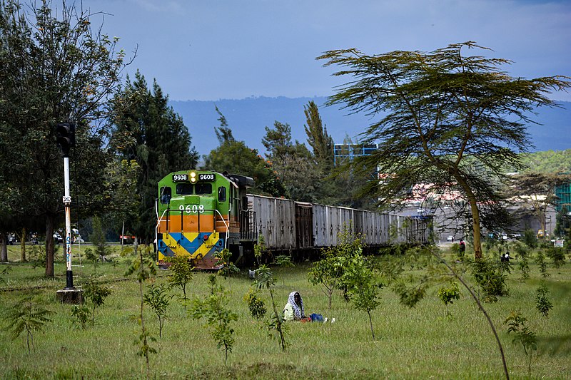 File:Train passing by Nakuru town.jpg