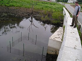 Trapezoidal protective fence installed after re-opening dammed culvert Trapezoidal Culvert Protective Fence Westford, MA.jpg