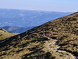 Porțiune de traseu turistic montan în Munții Bucegi