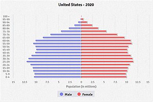 US population pyramid (2020).jpg
