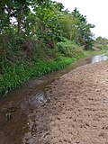 Vignette pour Environnement au Bénin