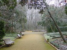 Winter in the city gardens of Campo Grande.