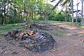 Čeština: Přírodní památka Velká skíla v blízkosti botanické zahray v Troji, Praha English: Natural monument Velká skála near Botanic Gardens in Troja, Prague