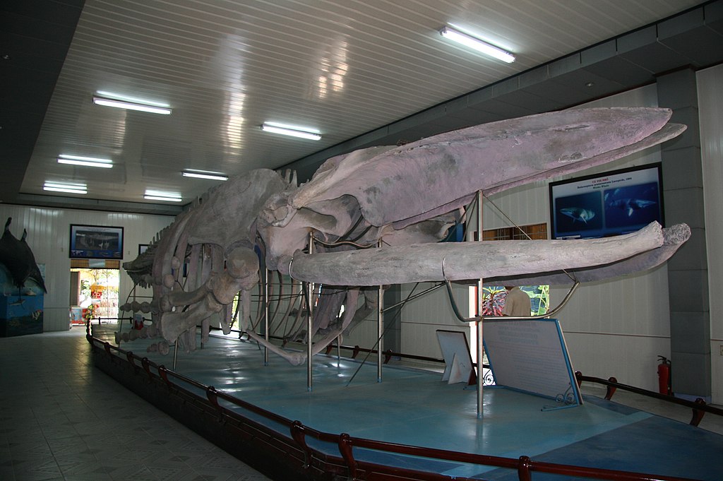Viện Hải dương học Nha Trang1