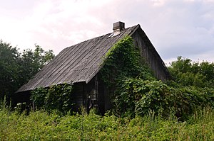 Apleistas namas Vikūnuose