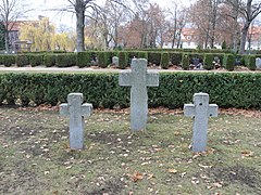 Weißwasser soldier grave field WW II crosses (3) .jpg