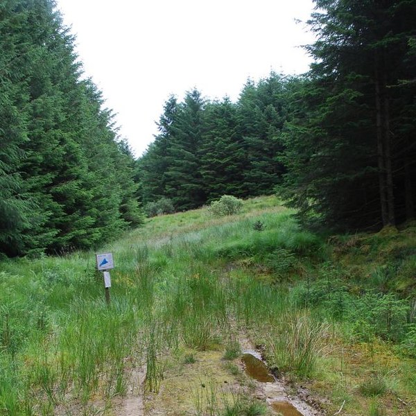 File:Welcome to Inverneill Forest - geograph.org.uk - 500742.jpg