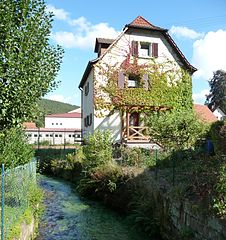 Speyerbach in Elmstein