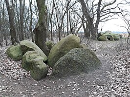 Großsteingräber auf der Buschhöhe