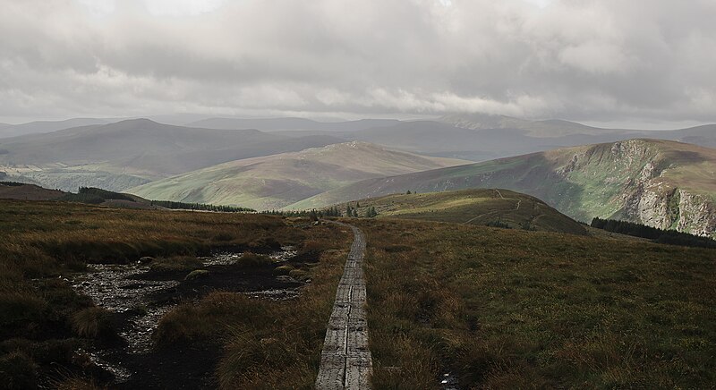 File:White Hill, Wicklow, Ireland.jpg