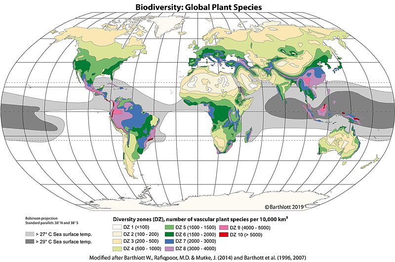 File:World Map Biodiversity of Plants (grids) (2) © W. Barthlott, Lotus-Salvinia.de.jpg