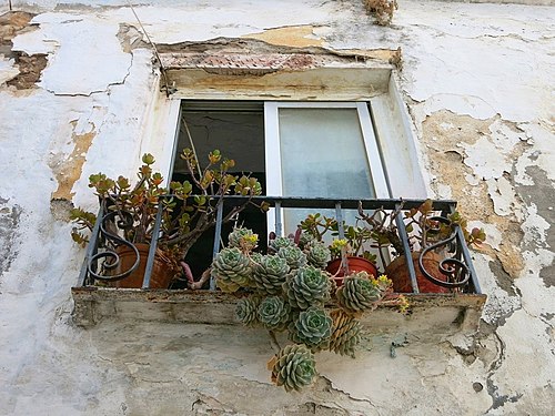 Flower lovers’ window in Costa del Sol (Spain)