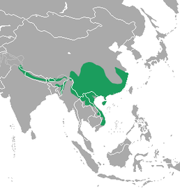 Мапа поширення виду Mustela kathiah