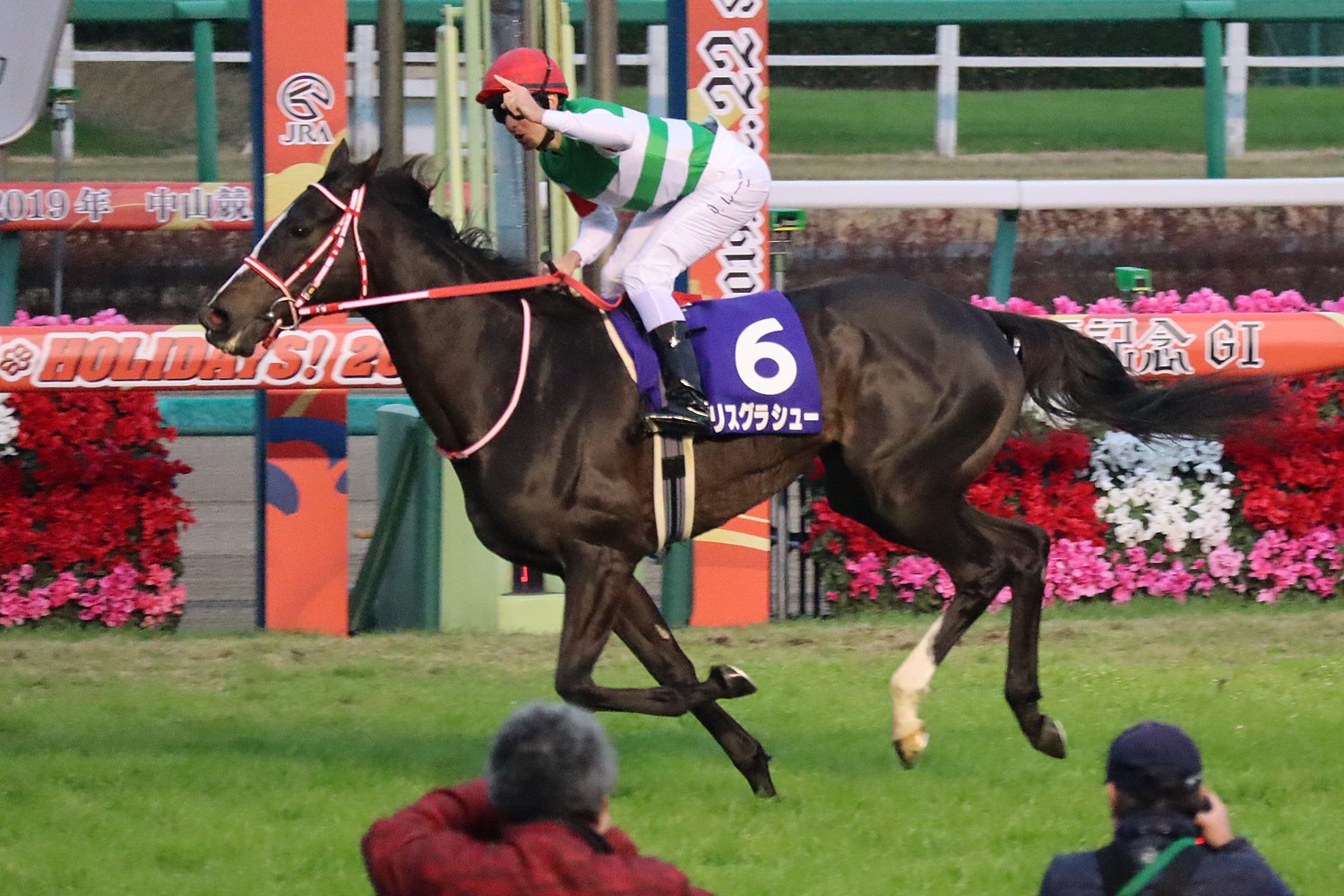 競馬 日本ダービー84回記念 限定 グラス - 食器