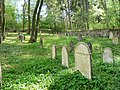 English: Jewish cemetery in Strážov, Klatovy District, Czech Republic Čeština: Židovský hřbitov ve Strážově, okres Klatovy