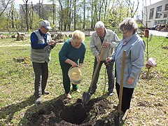 Ветерани та волонтери садять молоді дерева у парку. Травень 2018