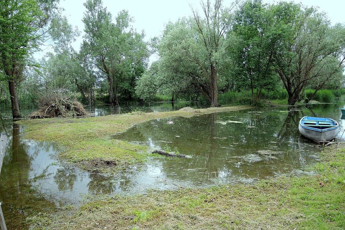 Старый оскол база отдыха обуховка фото