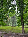 Парк-пам'ятка садово-паркового мистецтва «Копилівський» 02.jpg