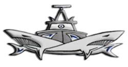 Logo of the 916 Squadron sml dbvrym.png