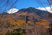太郎山の紅葉（広葉樹と針葉樹の植生が分かれている）