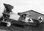Miniatura para Fokker V.8