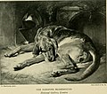 ... Landseer - a collection of fifteen pictures and a portrait of the painter (1901) (14762973231).jpg