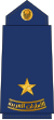 06-UAEAF-2LT.svg 