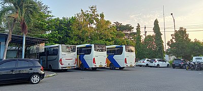 Bus Bandara