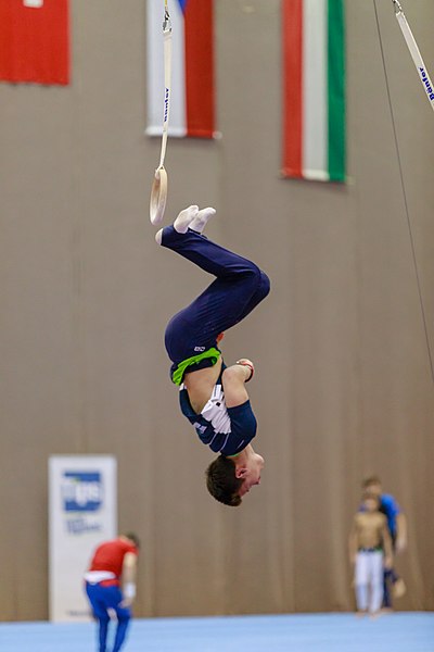 File:15th Austrian Future Cup 2018-11-24 Andri Stacher (Norman Seibert) - 06236.jpg