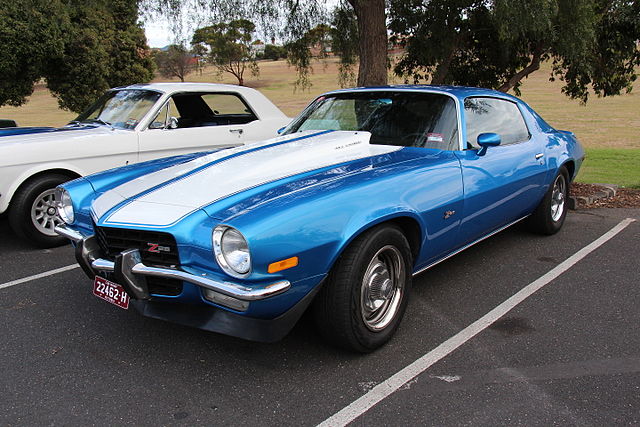 camaro z28 1980 bumblebee