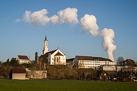 Zügeln Leuggern, Zügeln Leuggern