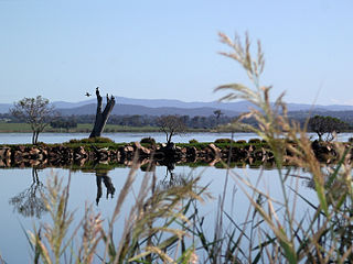 Mitchell River silt jetties