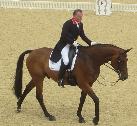 2012 Olympics - Dressage Davison.jpg