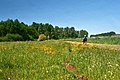 Miniatuurafbeelding voor de versie van 15 mei 2019 07:50