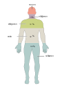 201 Elements of the Human Body.02-bn.svg