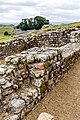 A view of Housesteads Roman Fort along Hadrian's Wall in the United Kingdom.