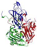 Vorschaubild für Senecavirus