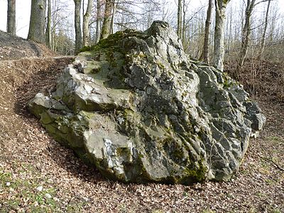 Deutsch: Findling bei der Schussenquelle bei Bad Schussenried English: Glacial erratic at the Schussenquelle near Bad Schussenried