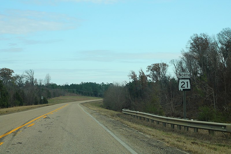 File:AL21nRoadSign-NearAL89end (30993799956).jpg