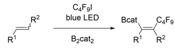 A 1,2 light-mediated carboboration believed to go through a radical mechanism. A 1,2 light-mediated carboboration believed to go through a radical mechanism.png