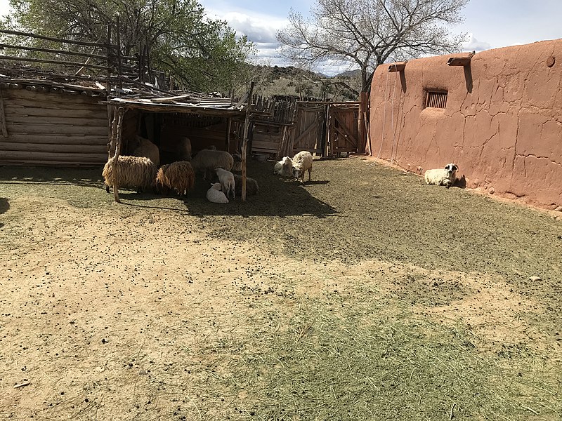 File:A sheep pin at El Rancho de las Golondrinas outside Santa Fe, NM (00d948f3-b70e-4cff-960f-2f3d2d01e91e).JPG