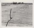Abandoned Farm in the Dustbowl, Coldwater District, near Dalhart, Texas, June MET DP237328.jpg