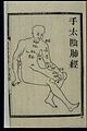 Acu-moxa chart; lung channel of hand taiyin, Chinese woodcut Wellcome L0037929.jpg