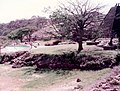 Africa tour 1973 - Lake Manyara 1 October.jpg