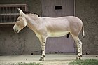 東山動植物園: 概要, 園内, 歴史