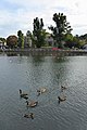 All Saints Church in Carshalton. [127]