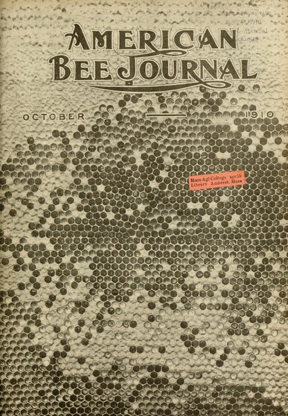 File:American Bee Journal 1910 No10.pdf