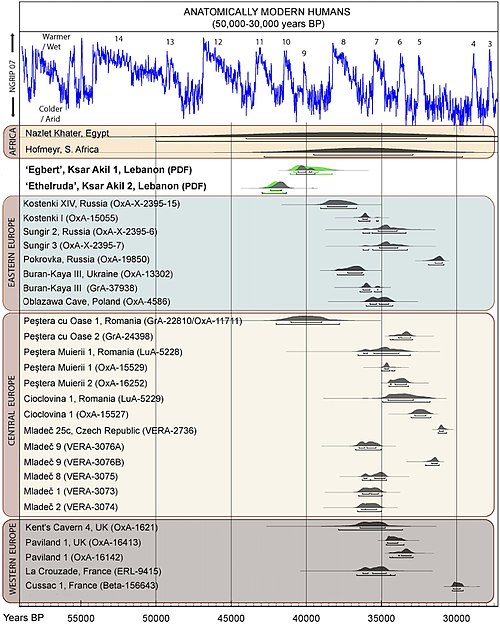 Anatomically Modern Humans known archaeological remains in Europe and Africa, directly dated, calibrated carbon dates as of 2013.