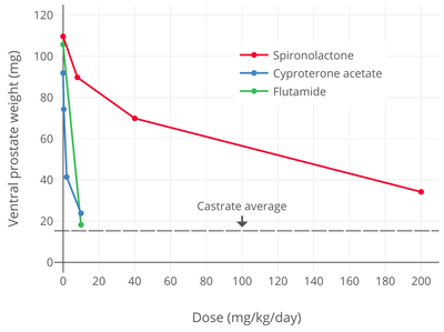 Androgen receptor antagonistic potency of spironolactone, cyproterone acetate, and flutamide in castrated male rats treated with exogenous testosterone (as measured by inhibition of androgen-dependent ventral prostate weight). Bicalutamide is a much more potent androgen receptor antagonist than flutamide both in animals and in humans. Androgen receptor antagonistic potency of spironolactone, cyproterone acetate, and flutamide in male rats.png