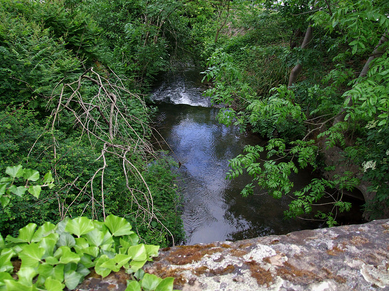 File:Angelbach bei Rauenberg-Rotenberg.jpg